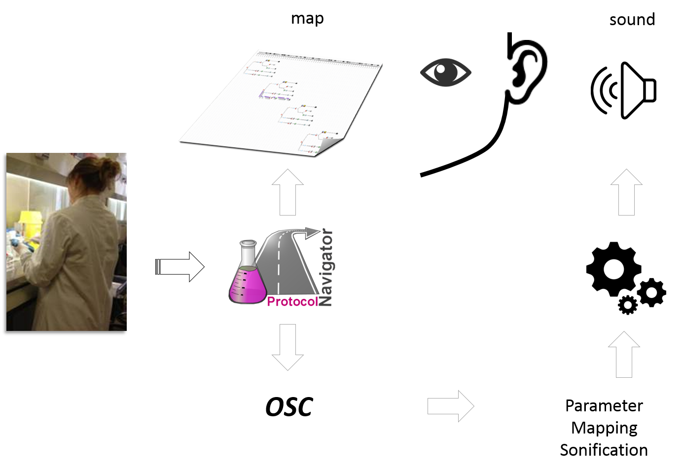 SCO Diagram